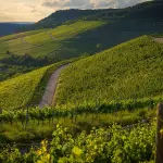 Ville e casolari in campagna tra le scelte più gettonate dagli italiani che si allontanano dalle città