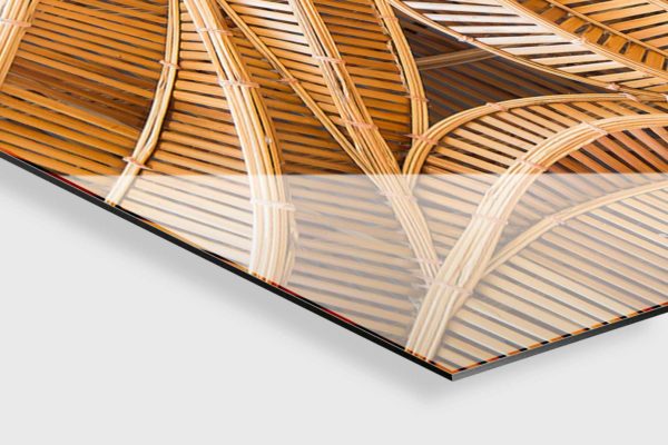 Prodotti in Bamboo: Quanto sono eco-sostenibili?