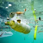 Articoli plastic free: il trend del momento che fa bene all'ambiente