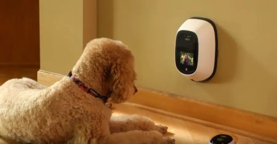 I brevetti più folli