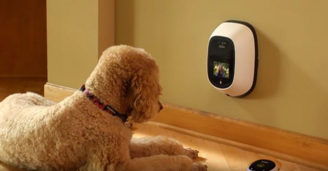 I brevetti più folli