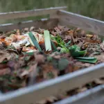 Il compost: cos’è, come si produce, a cosa serve