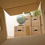 Trasloco fai da te? Come traslocare?