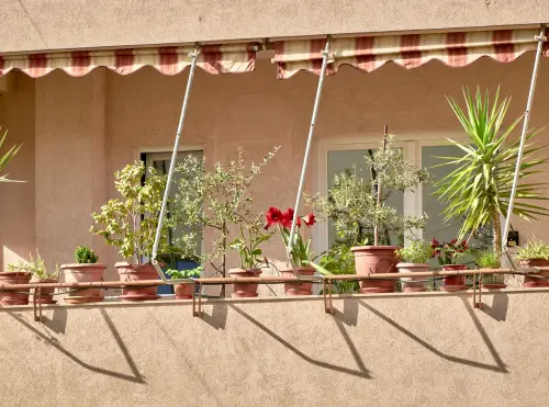 Piante da balcone perenni: guida completa 2026