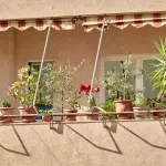 Piante da balcone perenni: guida completa 2026