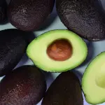 Avocado pianta: dal nocciolo al vaso in 5 fasi