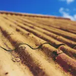 Guida al trattamento, smaltimento e riciclaggio dell'amianto