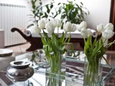 Come curare i fiori freschi recisi e farli vivere di più