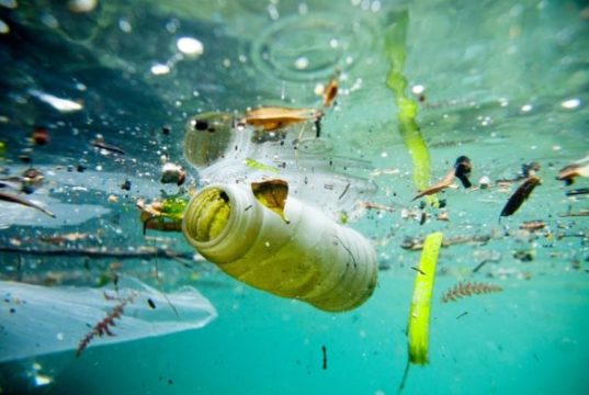 Articoli plastic free