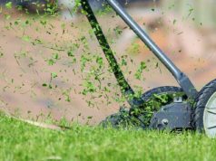 quali tecnichee strumenti utilizzare per tagliare l'erba senza fatica