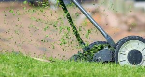 quali tecnichee strumenti utilizzare per tagliare l'erba senza fatica