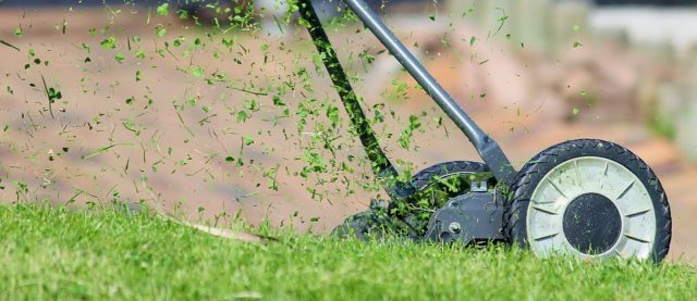 quali tecnichee strumenti utilizzare per tagliare l'erba senza fatica