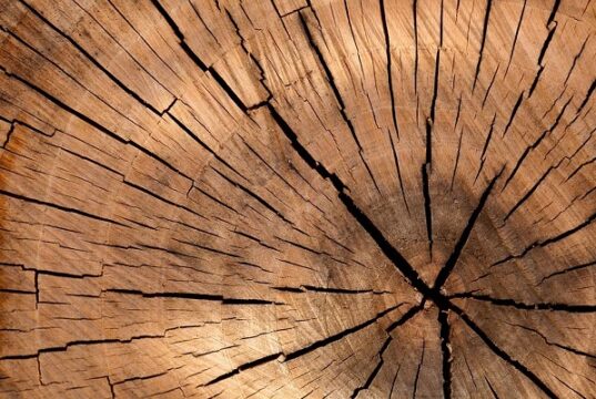 legno